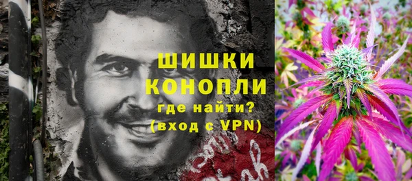 дмт Абаза