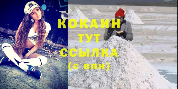 дмт Абаза