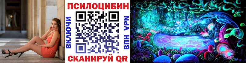 магазин  наркотиков  Осташков  Псилоцибиновые грибы ЛСД 